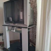 تلویزیون