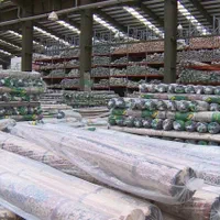 فرش اقتصادی ۱۲متری(فروش بصورت عمده و جزئی|فرش|بوشهر, |دیوار