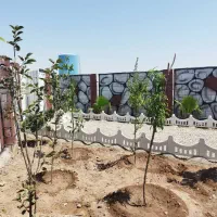زمین باغچه باغ سند تک برگ خرید مستقیم از مالک|فروش زمین و ملک کلنگی|رباط‌کریم, رباط‌کریم|دیوار