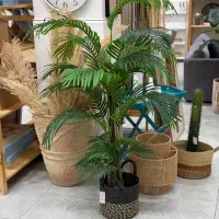 انواع گیاه و گل مصنوعی (اقساط) آکوهوم