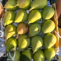 کارخانه سبدسازی|ظروف نگهدارنده، پلاستیکی، یکبارمصرف|محمدشهر, زیبادشت|دیوار