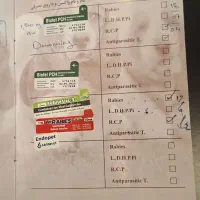 گربه اسکاتیش|گربه|اندیشه, اندیشه فاز ۱|دیوار