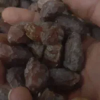 خرما کیلویی|خوردنی و آشامیدنی|مشهد, ده دی|دیوار