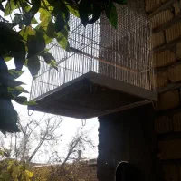 قفس بزرگ دست باف