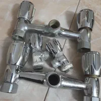 دوتا شیر دوقلو