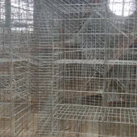 فروش قفس منبری