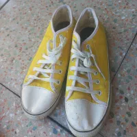 کفش|کیف، کفش، کمربند|ایلام, |دیوار