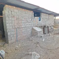 دامداری