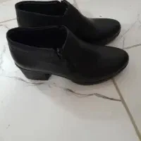 دوعدکفش نیم بوت زنانه نوداخل جعبه