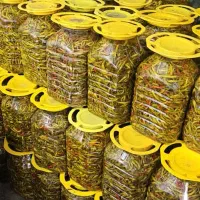 پخش  زیتون و ترشیجات و شوریجات|خوردنی و آشامیدنی|اسالم, |دیوار