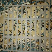 شانه ی جوجه کشی