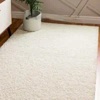 یک جفت فرش شگی ۴ متری و ۲ متری