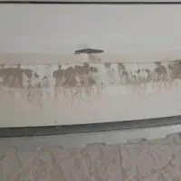 کوئیک401|خودرو سواری و وانت|ایرانشهر, |دیوار