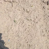 فروش زمین ۱۲۰ متری در باغسنگان