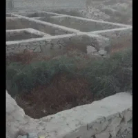 زمین-در-ام-البنین