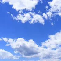 مدارک پیداشده