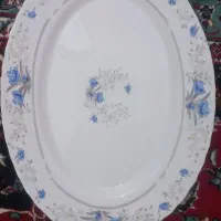 سرویس آکروپال ۲۶پارچه گلدن اوپال