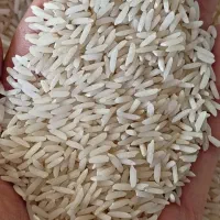 صدری آستانه