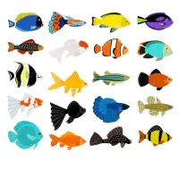 آکواریوم پیکاسو