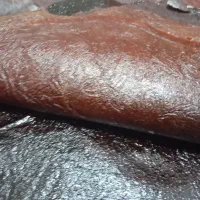 لواشک و آلوچه