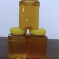 عسل طبیعی و کوهی|خوردنی و آشامیدنی|شیراز, شهرک فرزانگان|دیوار