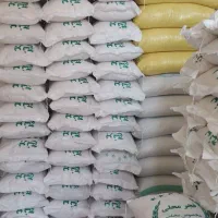 برنج طارم و فجر