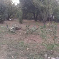 188متر-زمین-در-گوراب-زرمیخ