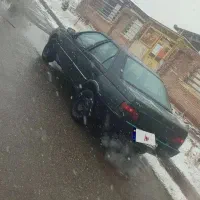 پزژو آردی جوان پسند