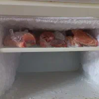 سلام|یخچال و فریزر|دلیجان, |دیوار