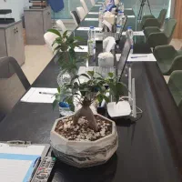 استخدام حسابدار