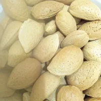 با د ام تمام شیرین امسالی