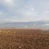 فروش-زمین-3-هکتاری-سپیدان