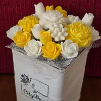 گل شمع|کلکسیون و سرگرمی|اصفهان, مهرآباد|دیوار