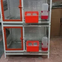 قفس جفتگاه لاکچری