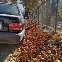 پراید ۹۸ ، شاسیا پلمپ