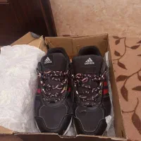 کتونی اکومنت اورجینال|کیف، کفش، کمربند|قم, حکمت شمالی|دیوار