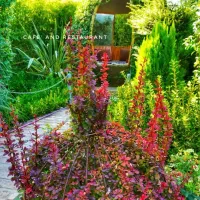 جذب نیرو در رستوران