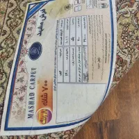 فرش 6 متری|فرش|گلبهار, شهر جدید گلبهار|دیوار