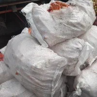 هویچ برای حیوانات