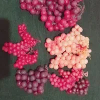 انگور مصنوعی