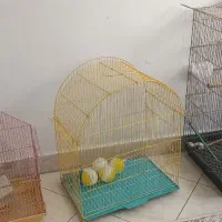 سه عدد قفس پرنده|لوازم جانبی حیوانات|تهران, ائمه اطهار|دیوار