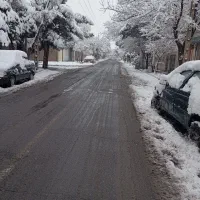 تجاری-معرفت