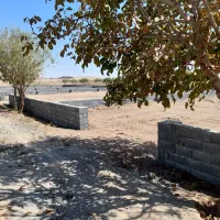 زمین-باغی-باغ-انقلاب-باغ-رضوان-پلاک-باغی