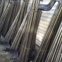 رگال لوله ای بزرگ