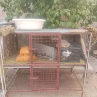 قفس دو طبقه محکم|لوازم جانبی حیوانات|یزد, |دیوار