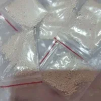 پودرشپش