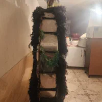 طبل