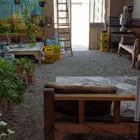 شاگرد کار درقهوه خونه
