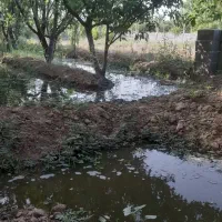 باغچه ۵۰۰متری پیشک۲|فروش زمین و ملک کلنگی|ماهدشت, |دیوار