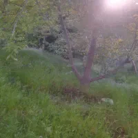 فروش زمین در  اردبیل گرمی روستای برزند